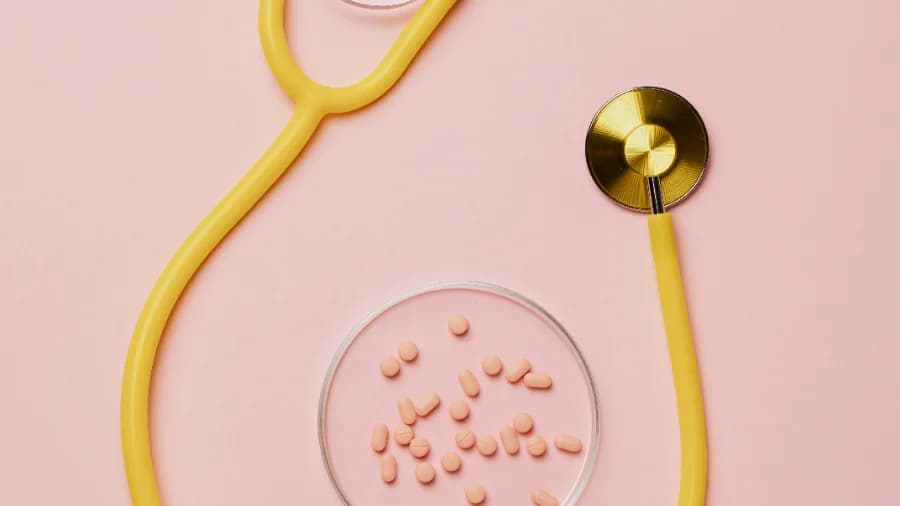 The Menopause Reset: The Definitive Guide to HRT, Health Testing, and Thriving in Midlife