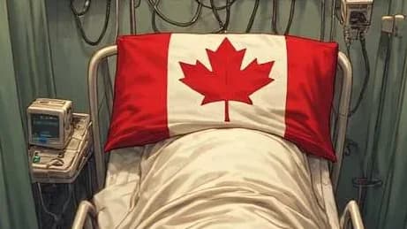 Where does Sarah Palin go for her apology?