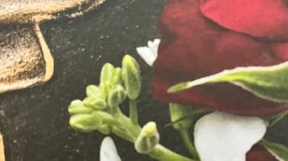 Wake Up Before Time Is Up