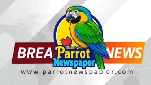 Amnesty International Nigeria Salute Ricky Awodi For Unwavering Support