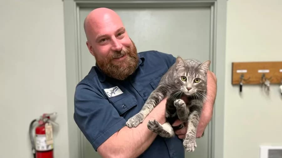 Big-box businesses have taken over Seattle's industrial zones. New legislation could change that