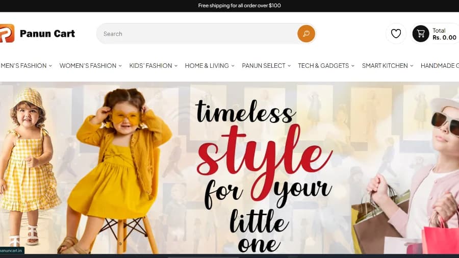 PanunCart Dropshipping Website SEO & Marketing Project