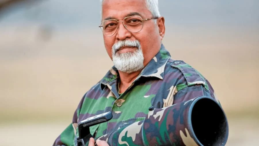 Sharing my Wildlife Safari Photography Experience And Insights
